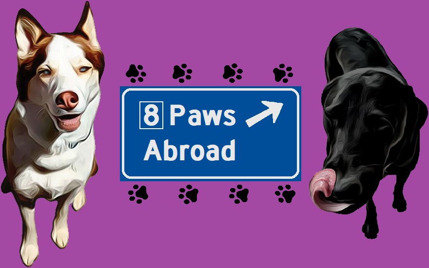 8 Paws Abroad