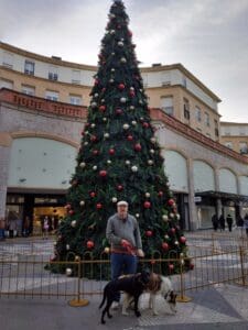 Aveiro – Aveiro Natal