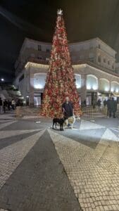 Aveiro – Aveiro Natal After Dark