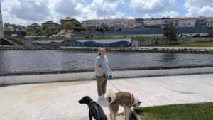 Aveiro – Canal with Nola-Opal-Onyx