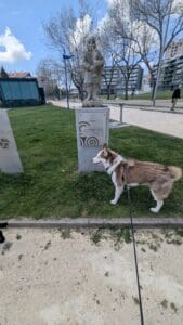 Aveiro – Monument Near Canal