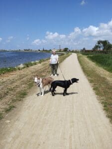 Aveiro – Parque Canino Caminho do Praiao