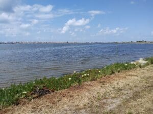 Aveiro – Parque Canino Caminho do Praiao