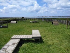 Aveiro – Parque Canino Caminho do Praiao