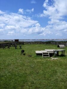 Aveiro – Parque Canino Caminho do Praiao