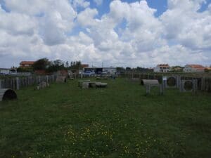 Aveiro – Parque Canino Caminho do Praiao