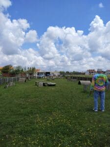 Aveiro – Parque Canino Caminho do Praiao