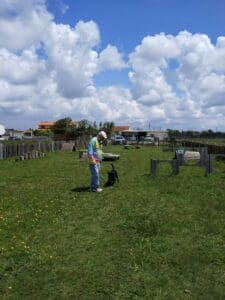 Aveiro – Parque Canino Caminho do Praiao