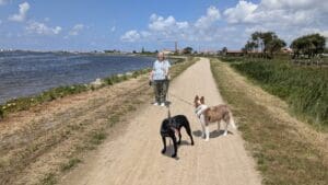 Aveiro – Parque Canino Caminho do Praiao