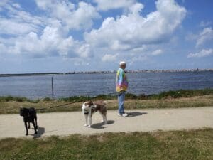 Aveiro – Parque Canino Caminho do Praiao