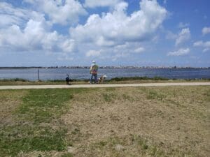 Aveiro – Parque Canino Caminho do Praiao