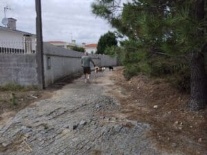Antas – Menhir Sao Paio de Antas road surrounding it