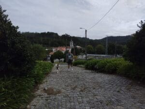 Antas – Menhir Sao Paio de Antas road surrounding it