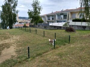 Braga – Parque Canino de Fraião